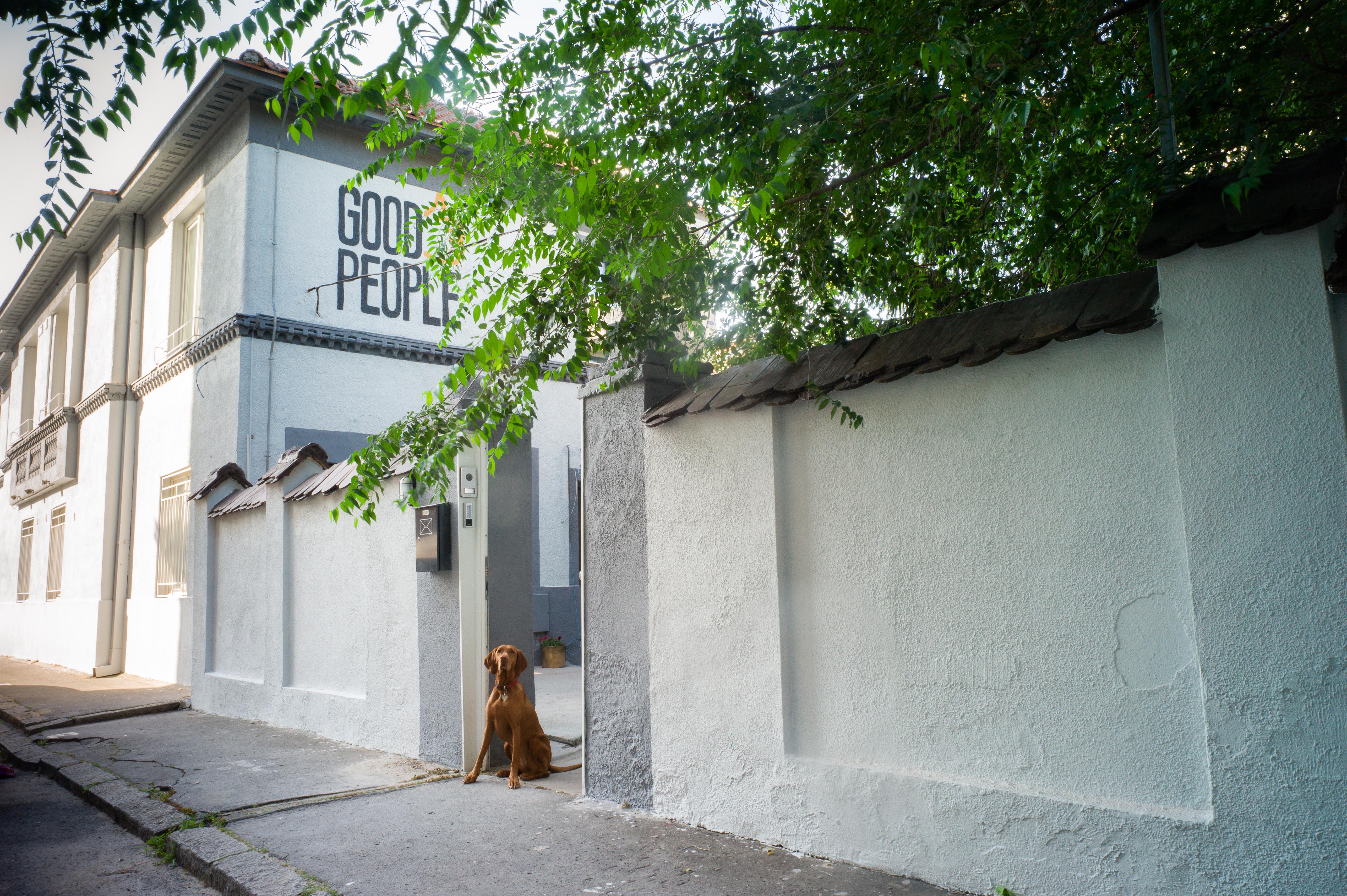 Good People Design Hostel Belgrad Exteriör bild